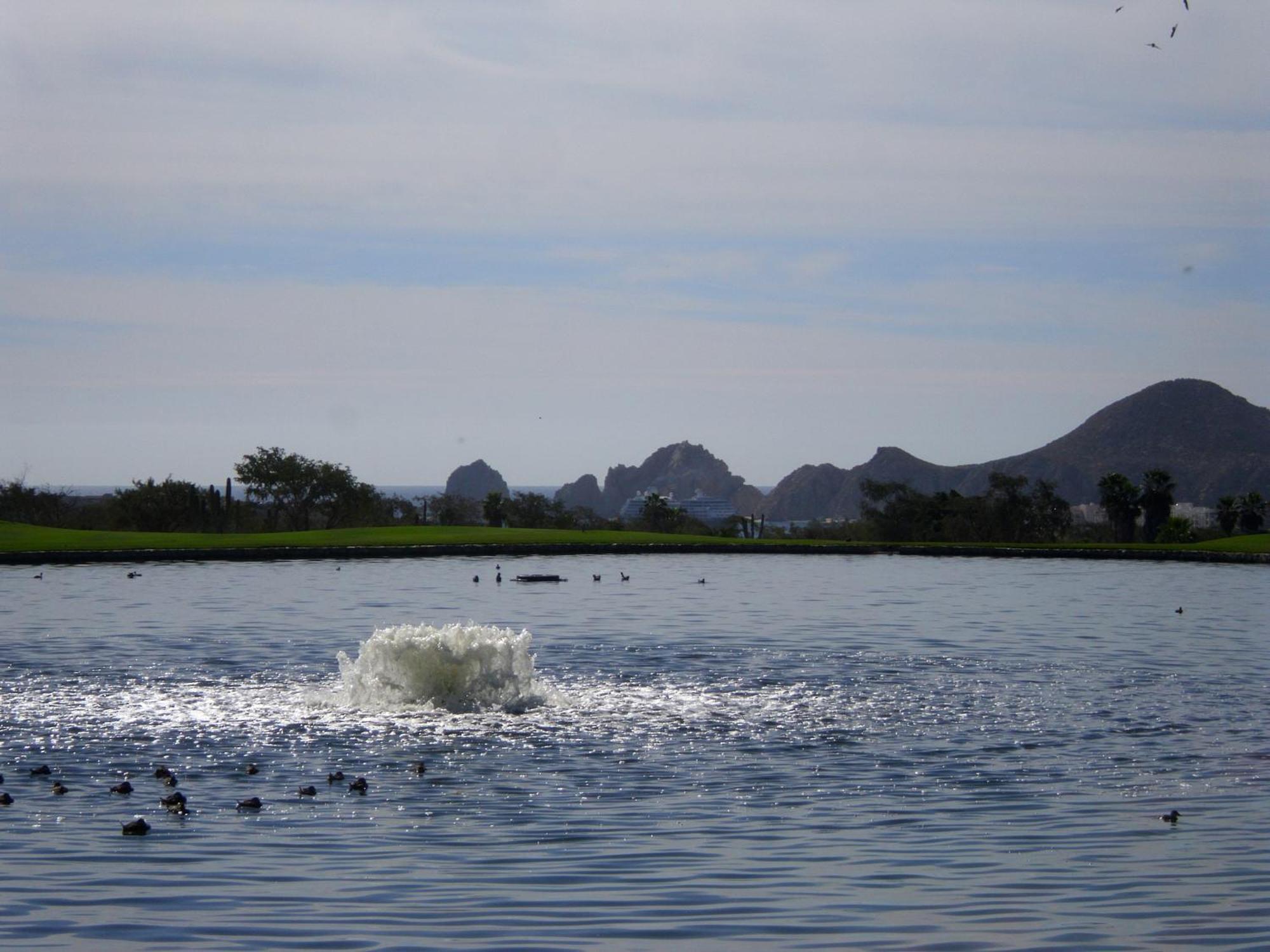 Los Cabos Golf Resort, Trademark Collection By Wyndham Κάβο σαν Λούκας Εξωτερικό φωτογραφία