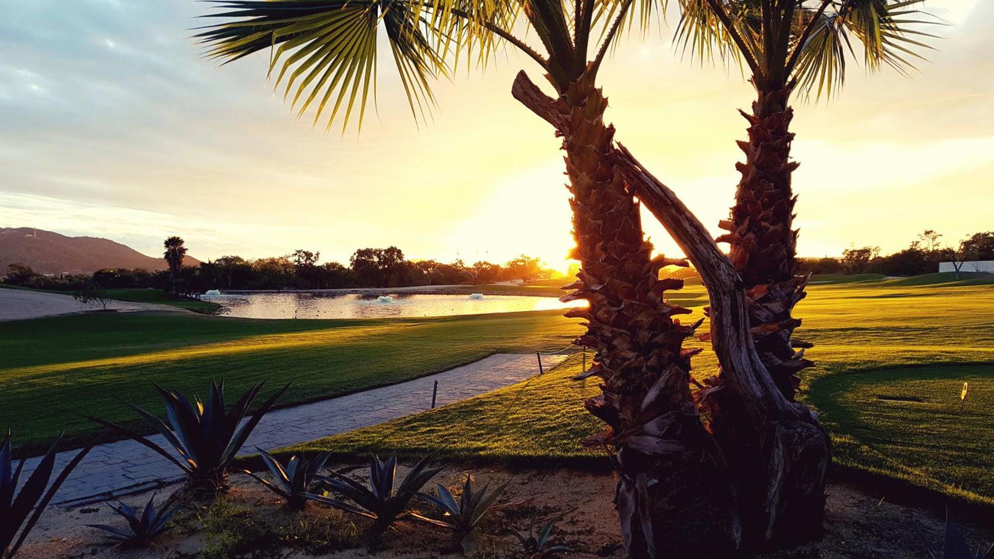 Los Cabos Golf Resort, Trademark Collection By Wyndham Κάβο σαν Λούκας Εξωτερικό φωτογραφία